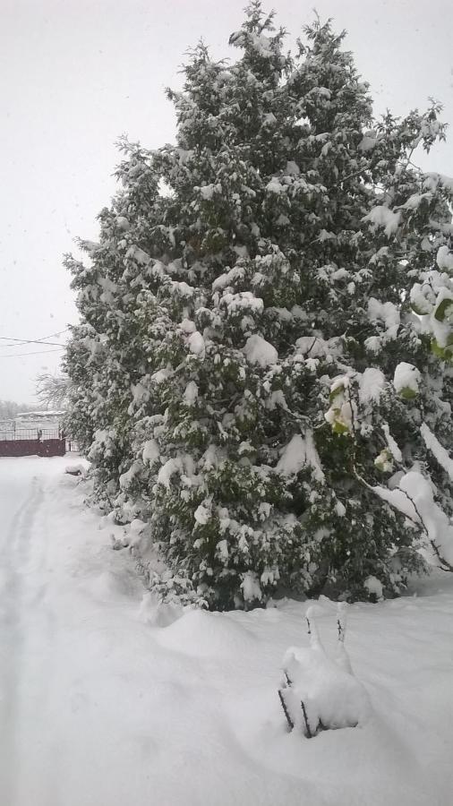 فيلا Casa Livada Bunicii Tîrgu Ocna المظهر الخارجي الصورة