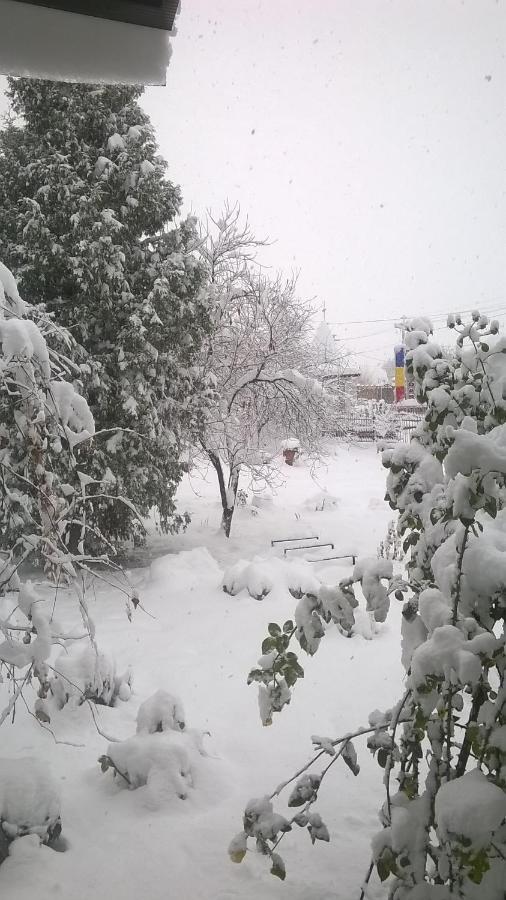 فيلا Casa Livada Bunicii Tîrgu Ocna المظهر الخارجي الصورة