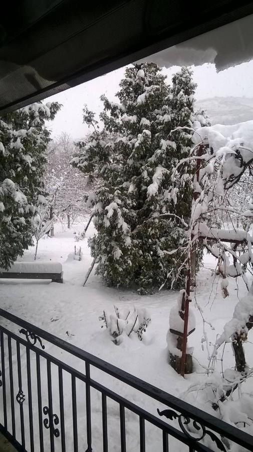 فيلا Casa Livada Bunicii Tîrgu Ocna المظهر الخارجي الصورة