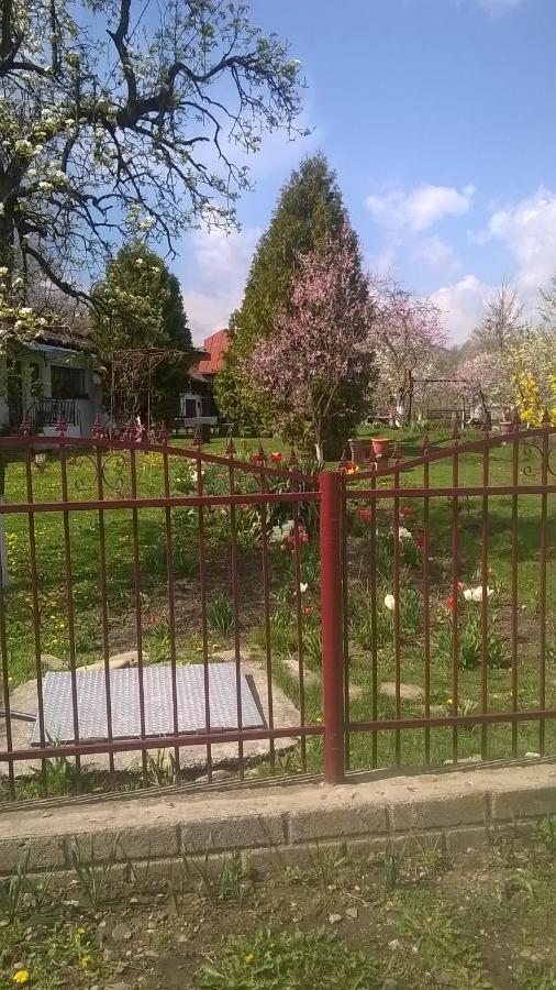 فيلا Casa Livada Bunicii Tîrgu Ocna المظهر الخارجي الصورة