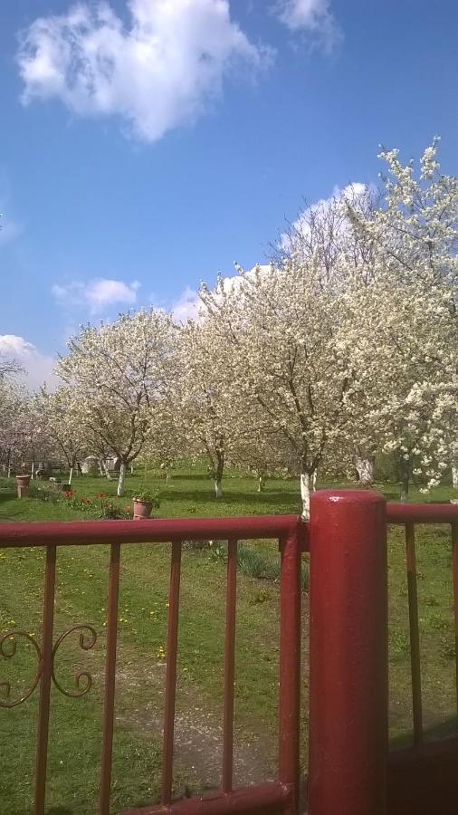 فيلا Casa Livada Bunicii Tîrgu Ocna المظهر الخارجي الصورة