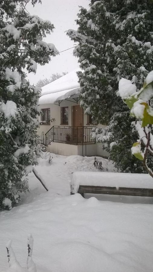 فيلا Casa Livada Bunicii Tîrgu Ocna المظهر الخارجي الصورة