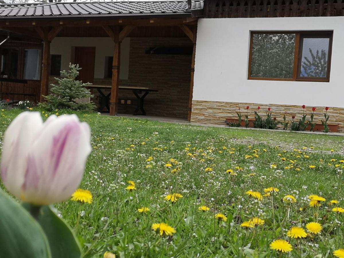 فيلا Casa Livada Bunicii Tîrgu Ocna المظهر الخارجي الصورة